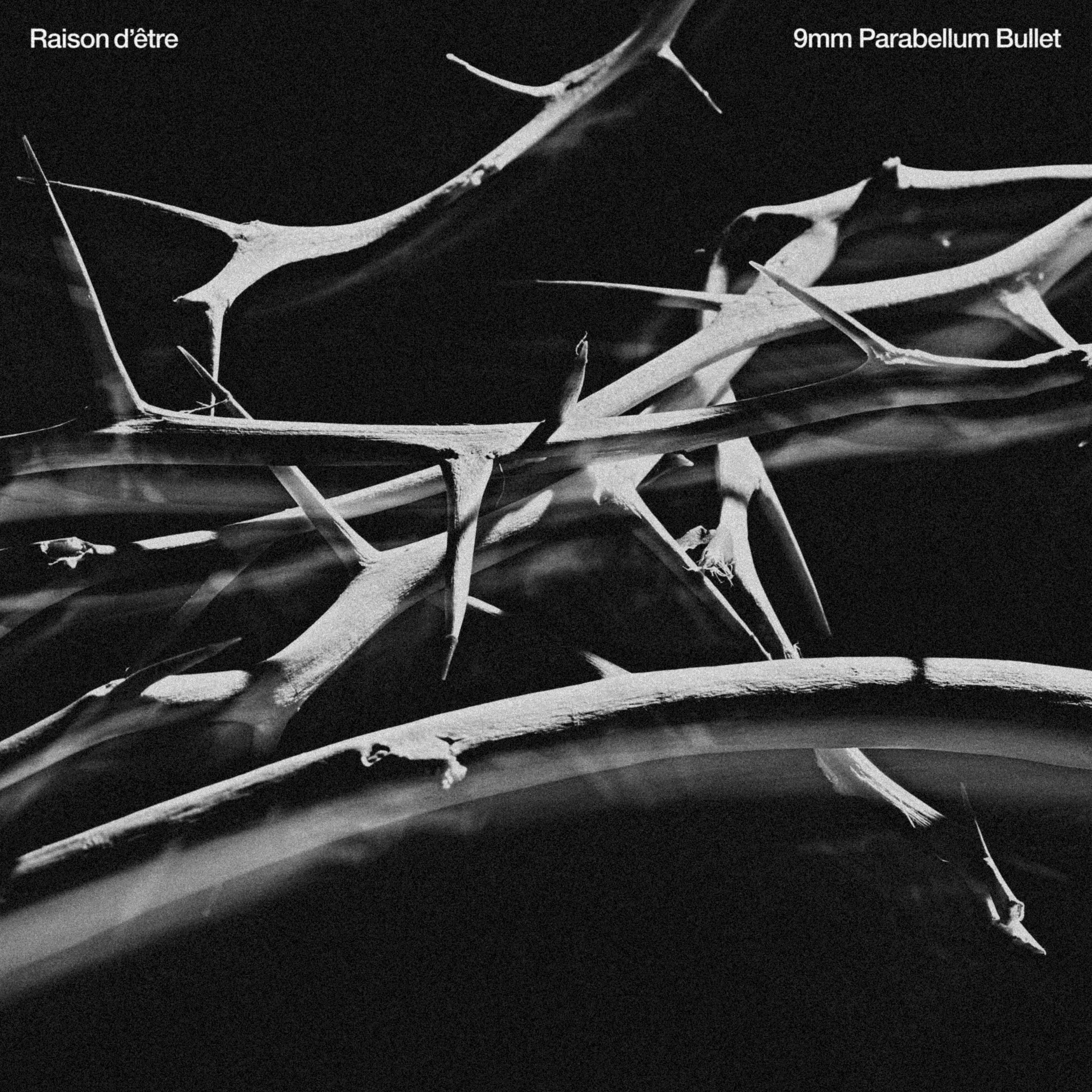 9mm Parabellum Bullet official site